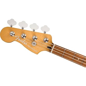 Amazon | Fender/Player Plus Precision Bass Left-Hand Pau